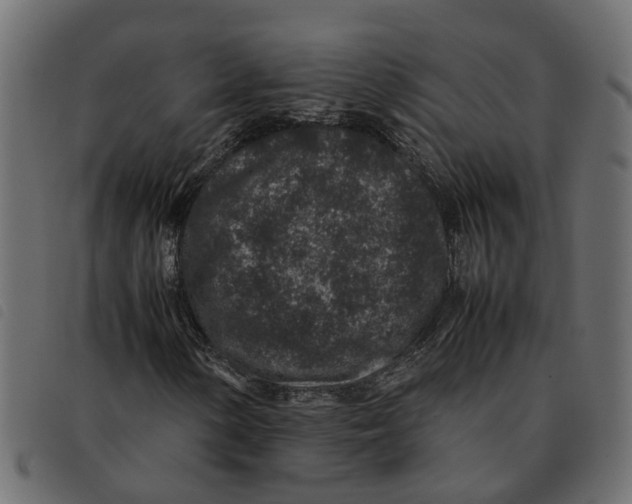 X0000092221154200710121151