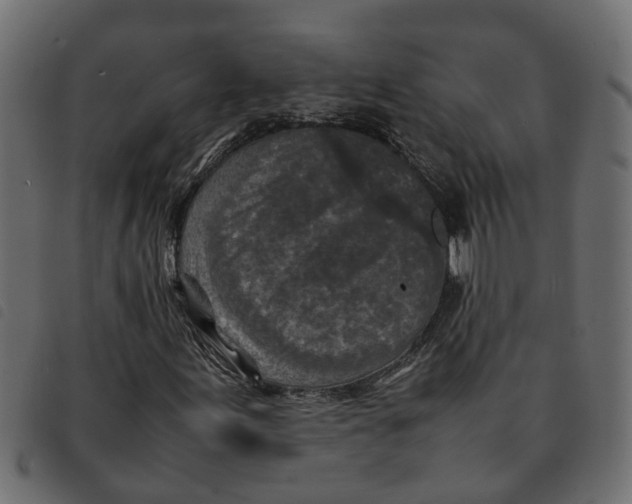 X0000092221155200710121151
