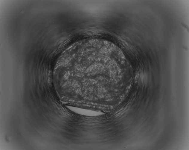 X0000092221156200710121151