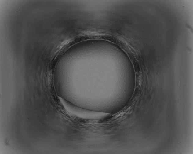 X0000092221157200710121151