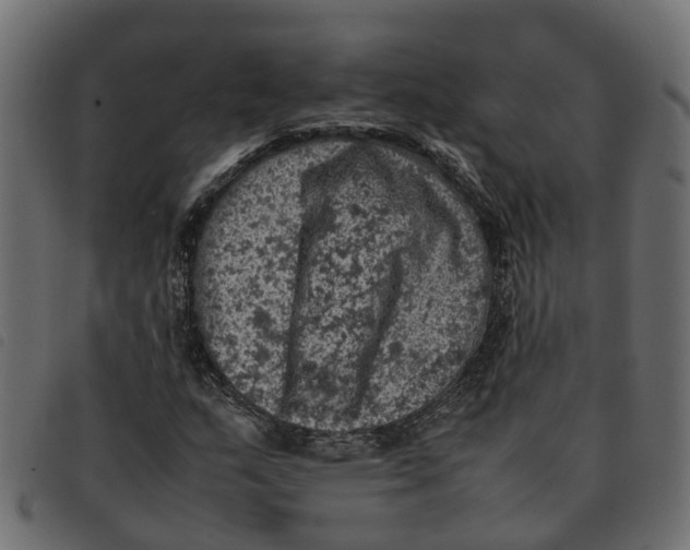 X0000092221159200710121151