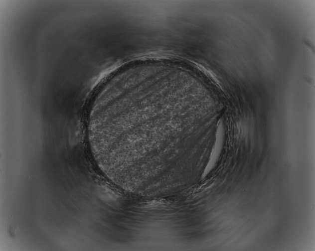 X0000092221160200710121151