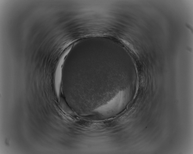 X0000092221161200710121151