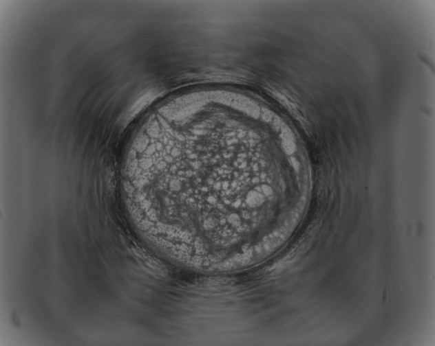 X0000092221163200710121151