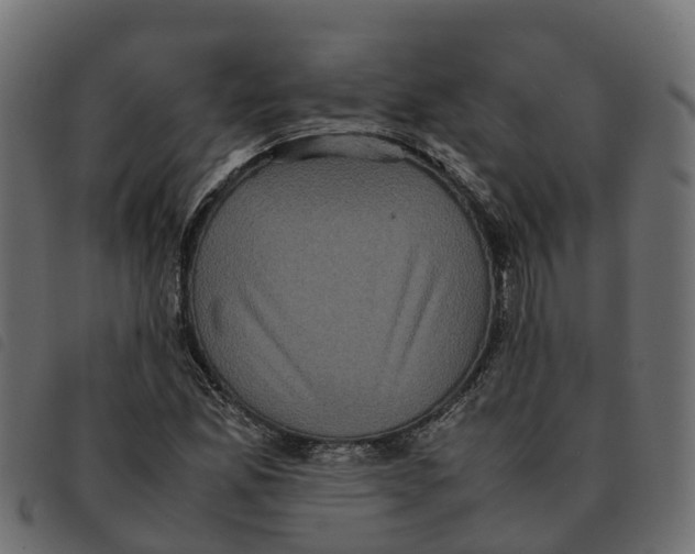 X0000092221165200710121151