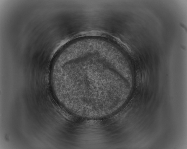 X0000092221166200710121151