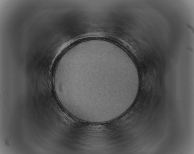 X0000092221168200710121151