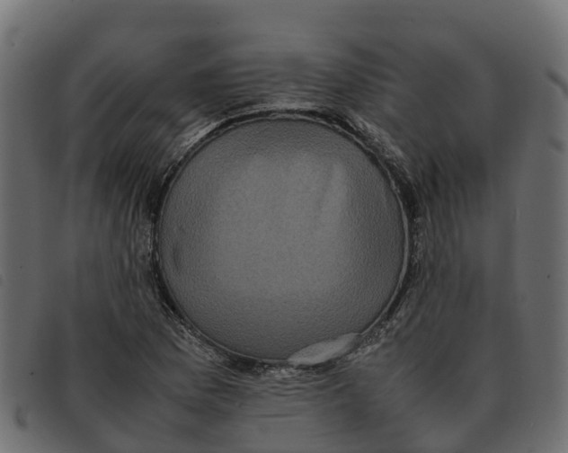 X0000092221169200710121151