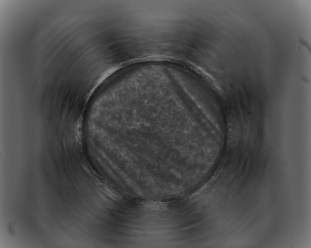 X0000092221170200710121151