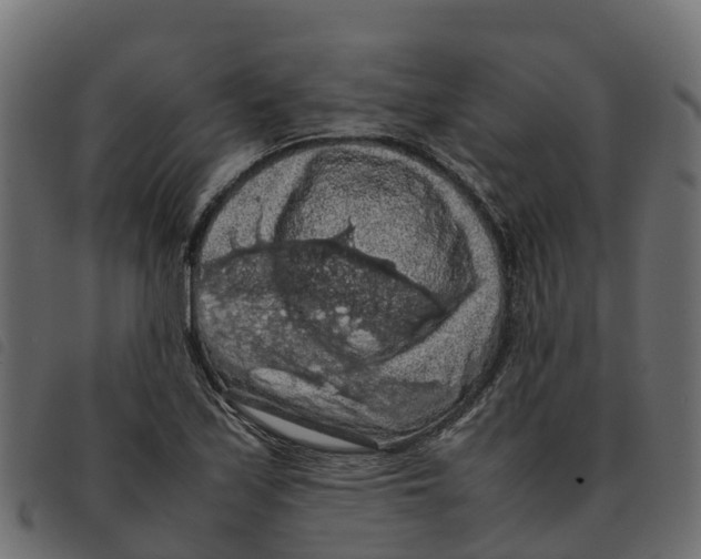 X0000092221171200710121150