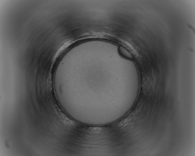 X0000092221172200710121150