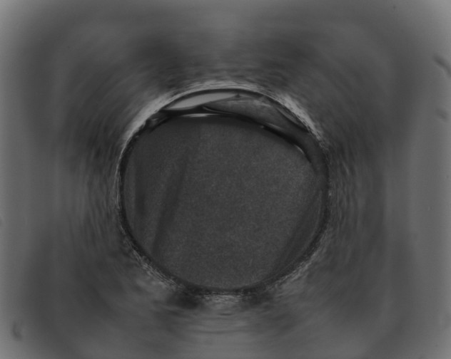 X0000092221173200710121150
