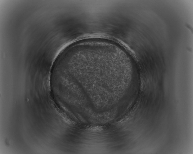 X0000092221174200710121150