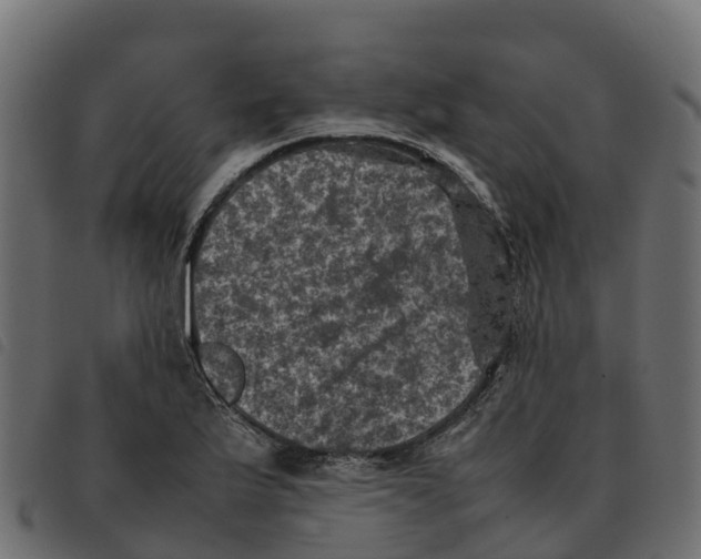 X0000092221175200710121150