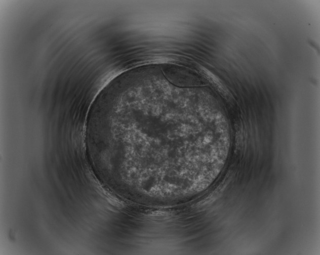X0000092221178200710121150