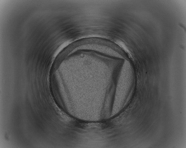 X0000092221181200710121150