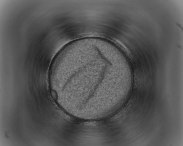 X0000092221182200710121150