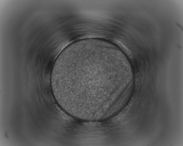 X0000092221185200710121150