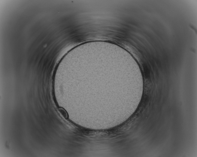 X0000092221187200710121150