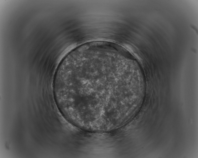 X0000092221189200710121150