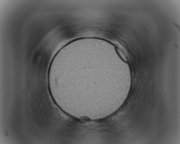 X0000092221191200710121150