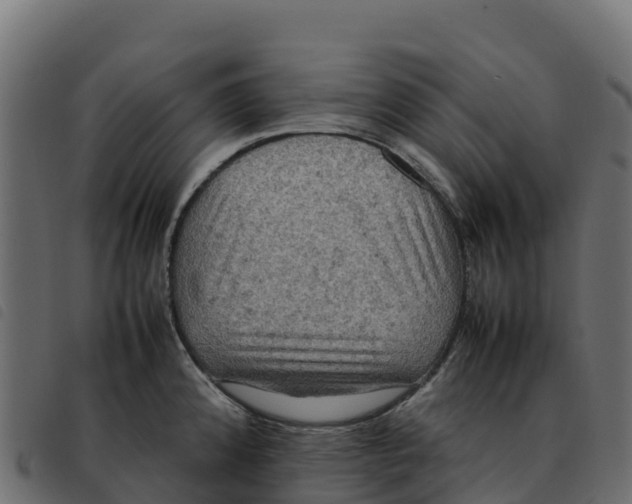 X0000092221192200710121150