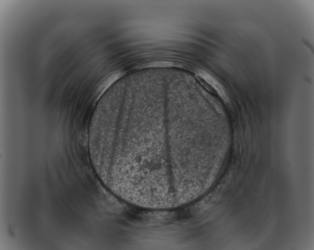 X0000092221193200710121150