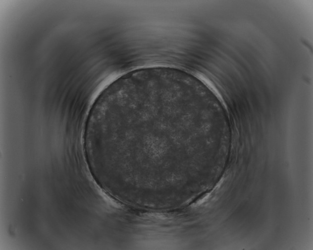 X0000092221197200710121150