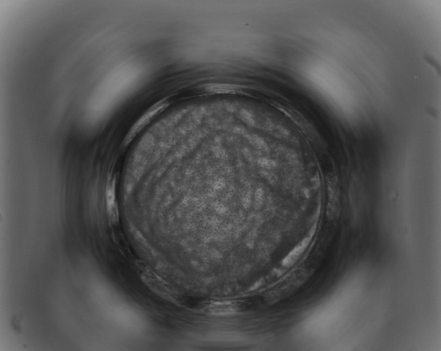X0000092221198200710121150