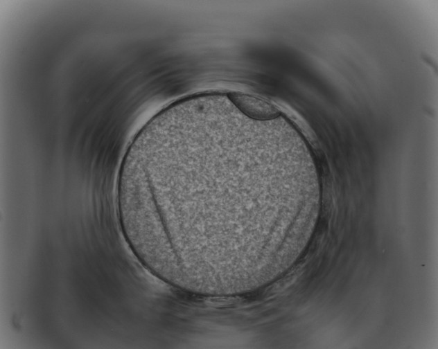 X0000092221199200710121150