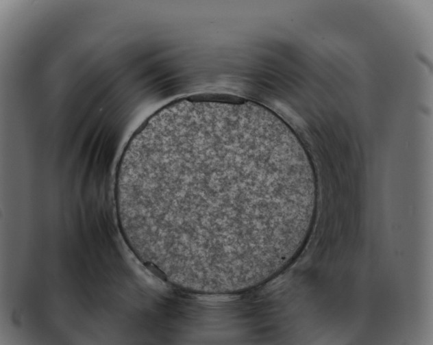 X0000092221200200710121150