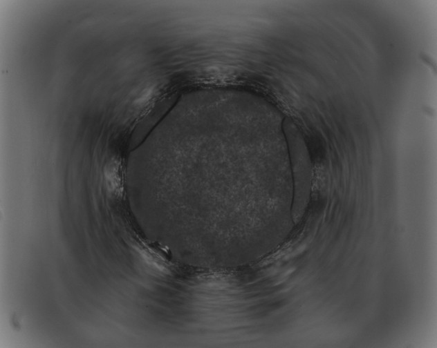 X0000092221202200710121149
