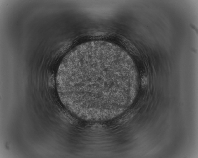 X0000092221204200710121149
