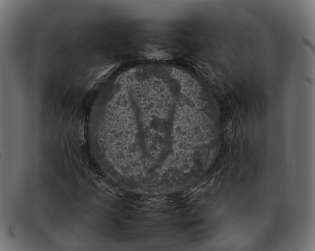 X0000092221205200710121149