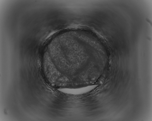 X0000092221206200710121150
