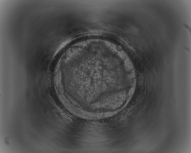 X0000092221208200710121150