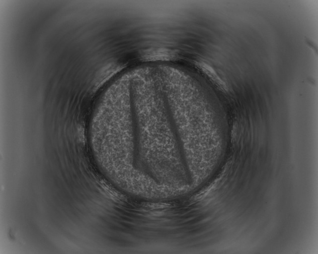 X0000092221209200710121150
