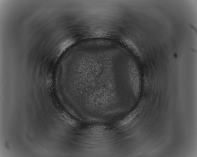 X0000092221210200710121150