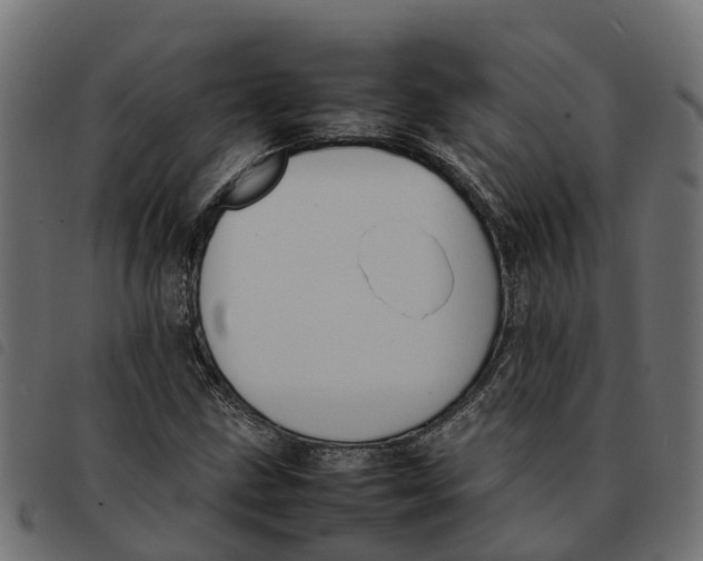 X0000092221211200710121150