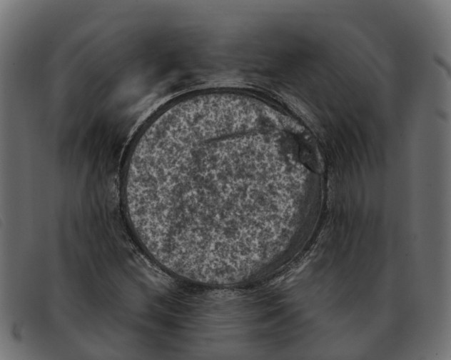 X0000092221212200710121150