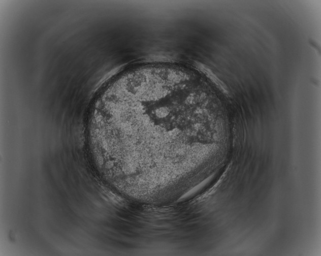 X0000092221213200710121150