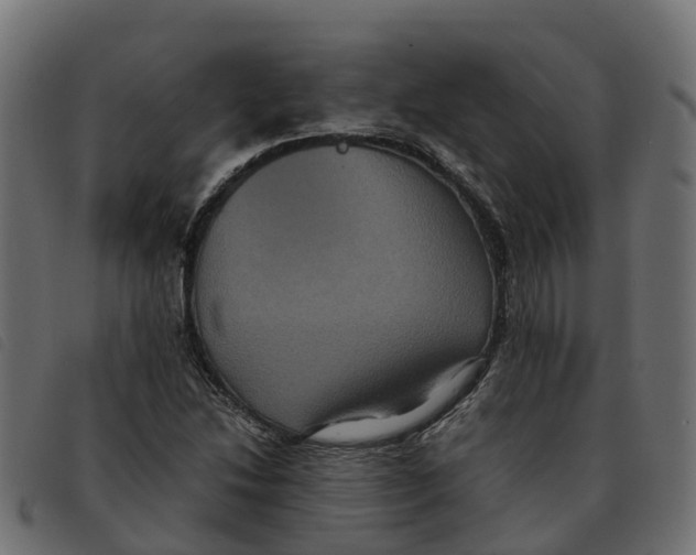 X0000092221214200710121150