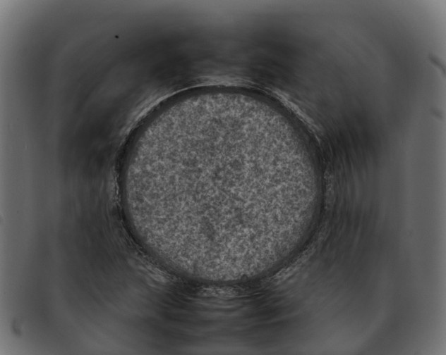 X0000092221215200710121150