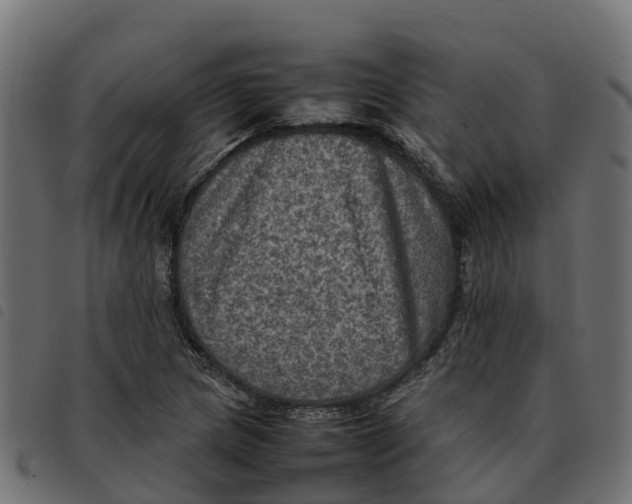 X0000092221217200710121150