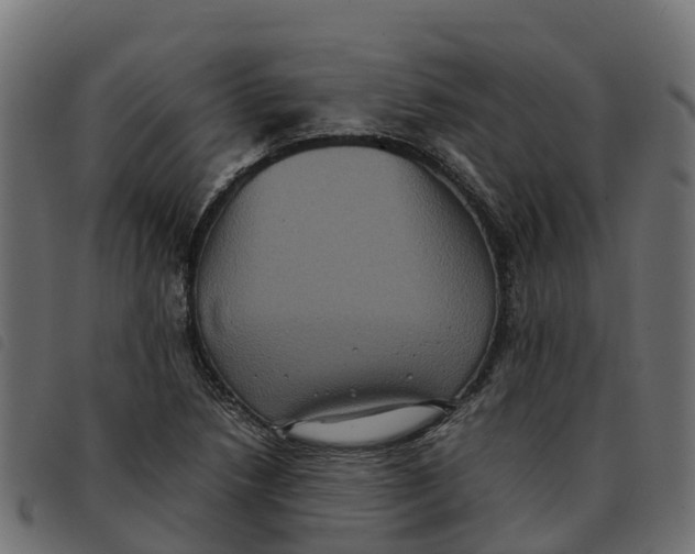 X0000092221218200710121150