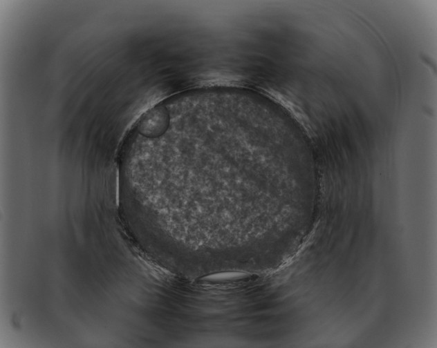 X0000092221219200710121150