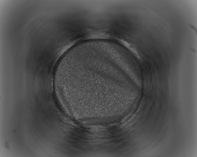 X0000092221221200710121150