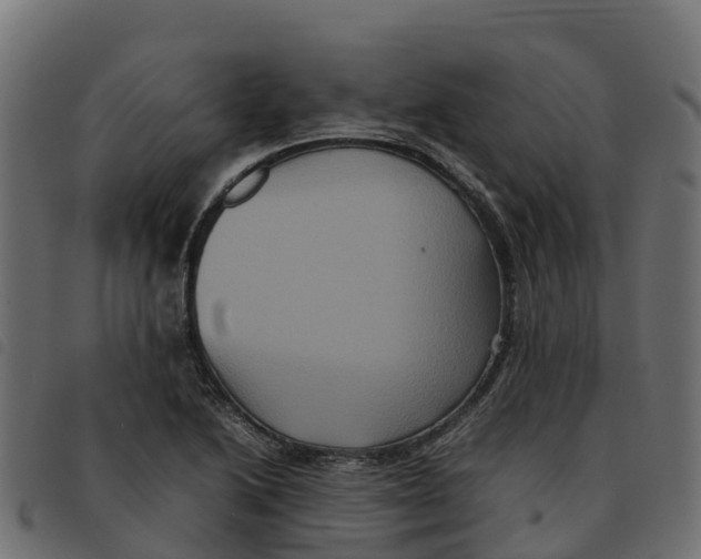 X0000092221222200710121150