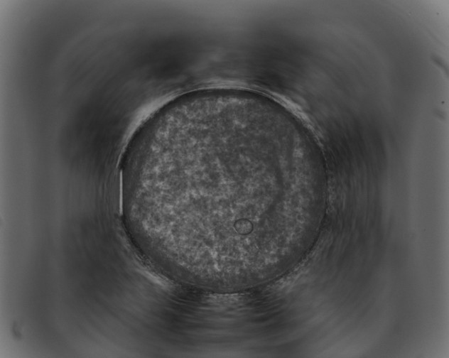 X0000092221223200710121150