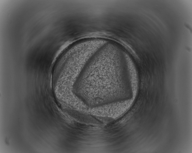 X0000092221224200710121150